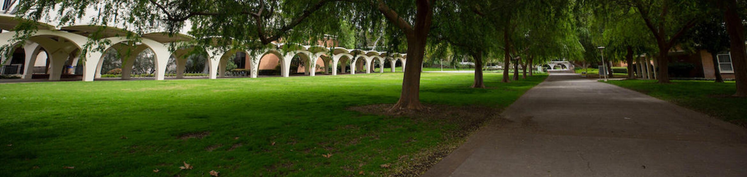 Rivera walkway and green lawn (c) UCR