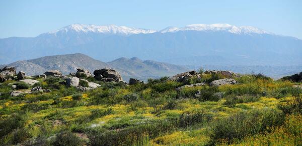 UCR Natural Reserves Motte Rimrock panorama (c) UCR / Stan Lim