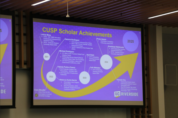 CUSP Scholar achievements